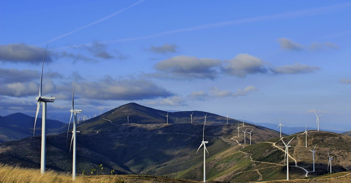 Vântul la tine acasă: cât de eficiente sunt turbinele eoliene verticale? Opinii reale și cifre clare