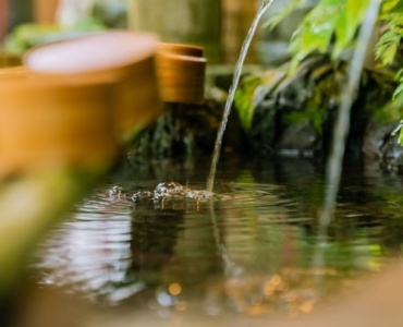 Oază de calm în grădină: transformă-ți spațiul într-un sanctuar zen cu bambus decorativ