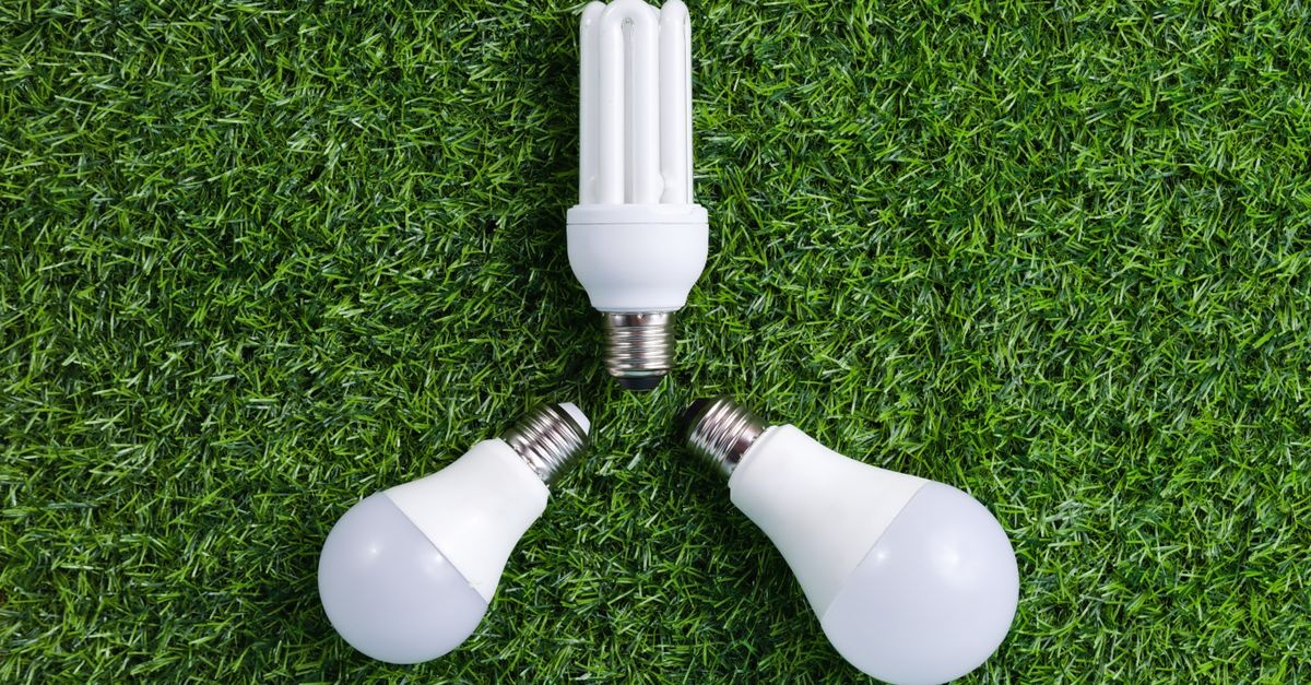 Curte luminată, facturi reduse: ghid practic pentru iluminat exterior eficient energetic