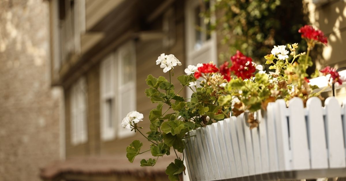 Balcon înflorit de primăvară: ghid complet de plantare în jardiniere – combinații, calendar și trucuri pentru soare și umbră