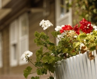 Balcon înflorit de primăvară: ghid complet de plantare în jardiniere – combinații, calendar și trucuri pentru soare și umbră